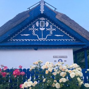 Fatada Casa Soarelui Murighiol cu acoperis stuf, fronton albastru decorat si trandafiri.