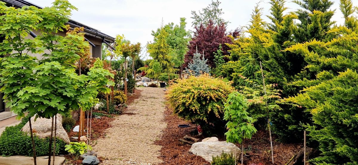 De la teren agricol la o grădină spectaculoasă inspirată de peisajele montane 10 Alei cu piatră prin grădină