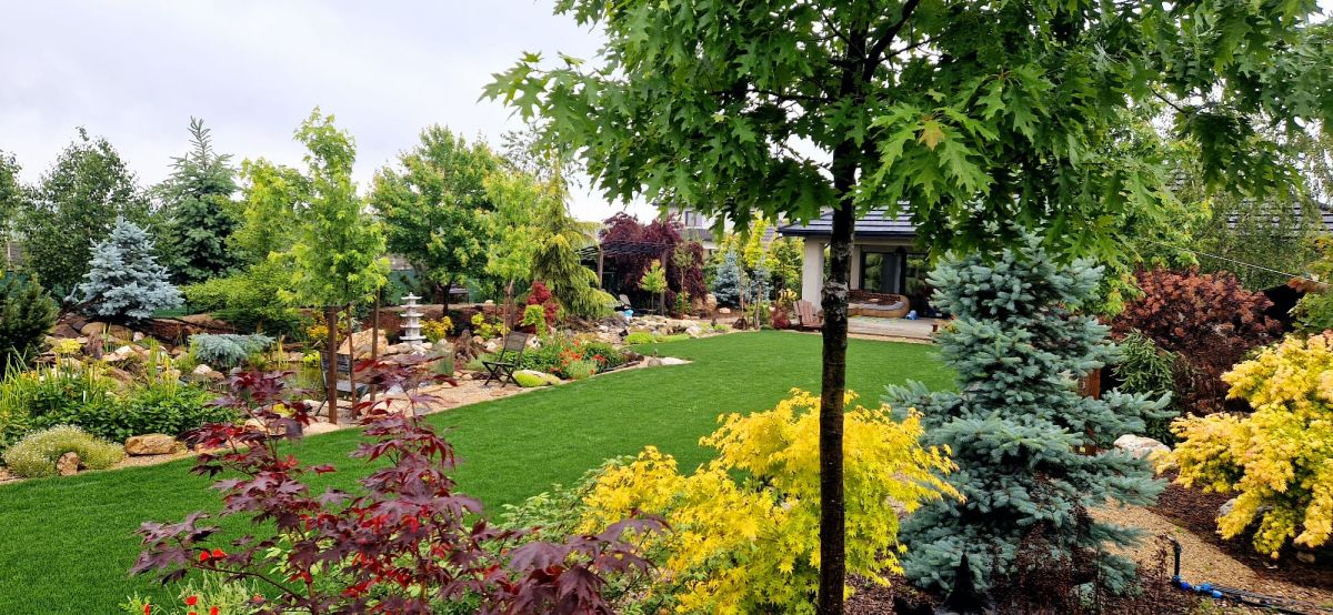 De la teren agricol la o grădină spectaculoasă inspirată de peisajele montane 17 Zona centrală cu gazon