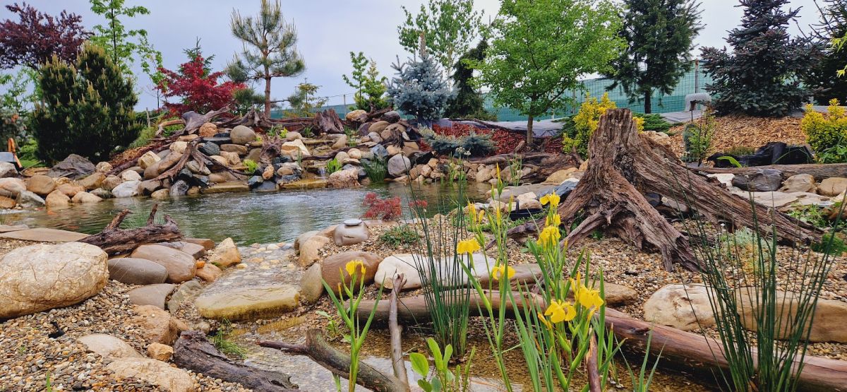 De la teren agricol la o grădină spectaculoasă inspirată de peisajele montane 14 Iaz cu pești, curs de apă, cascadă