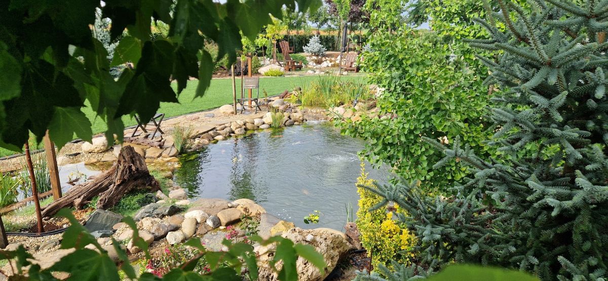 De la teren agricol la o grădină spectaculoasă inspirată de peisajele montane 12 Gazon, piatră, iaz, arbori decorativi