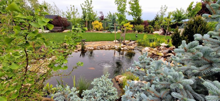 Grădină stil montan, gazon, iaz cu pești în Corbeanca