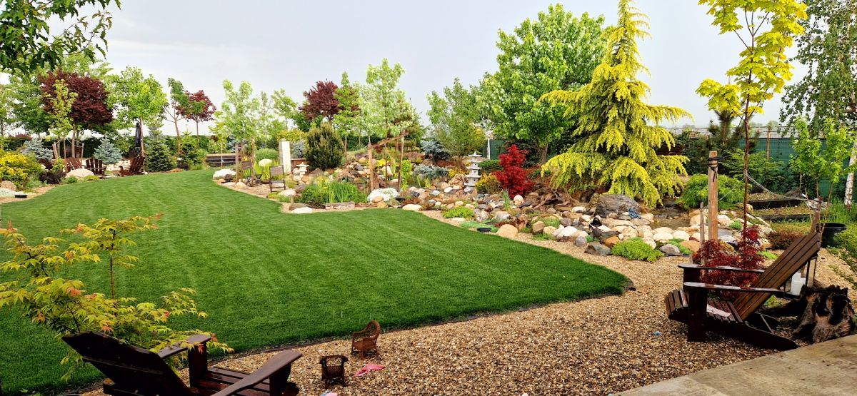 De la teren agricol la o grădină spectaculoasă inspirată de peisajele montane 9 Grădină cu gazon, piatră, arbori deorativi