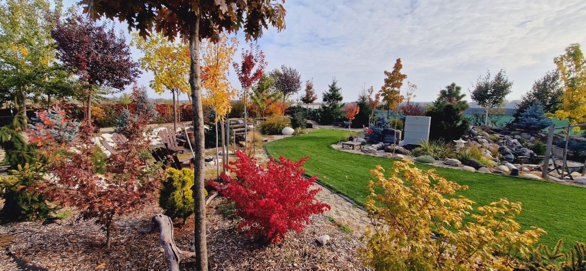 De la teren agricol la o grădină spectaculoasă inspirată de peisajele montane 16 Toamna, grădina capătă o atmosferă complet diferită datorită varietății de arbori foioși.