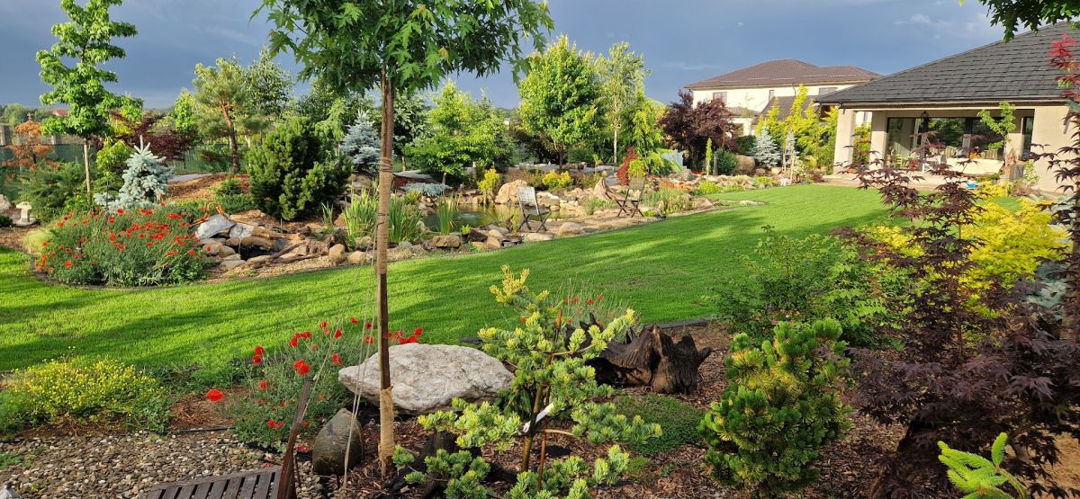 De la teren agricol la o grădină spectaculoasă inspirată de peisajele montane 18 Grădină montană în Corbeanca