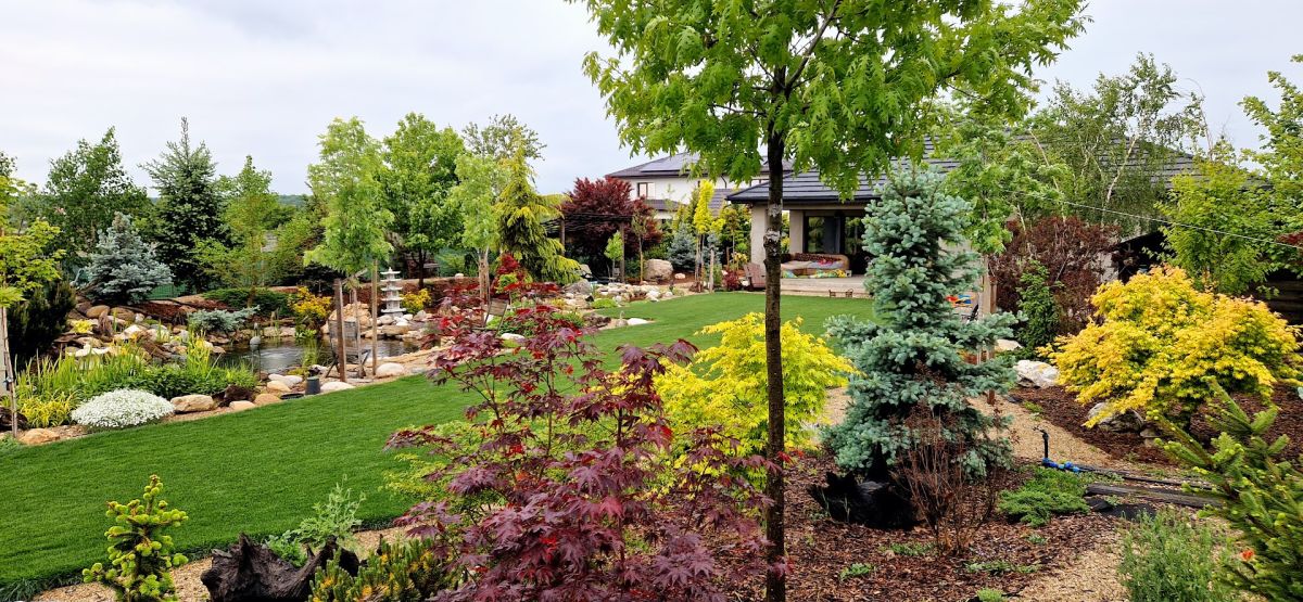 De la teren agricol la o grădină spectaculoasă inspirată de peisajele montane 7 Grădină cu gazon, iaz, arbori și arbuști