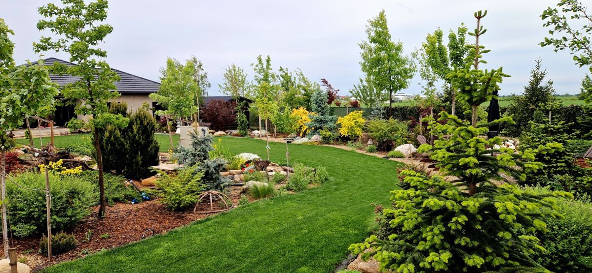 De la teren agricol la o grădină spectaculoasă inspirată de peisajele montane 6 Amenajare grădină în Corbeanca