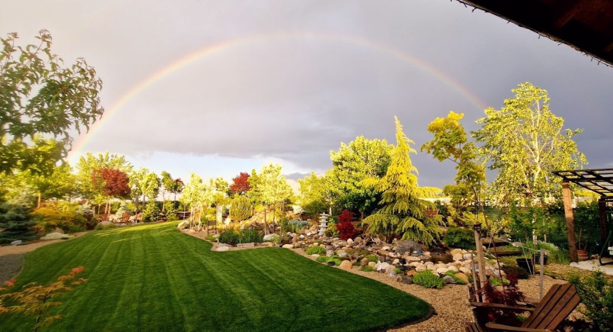 Terenul după amenjarea grădinii montane.