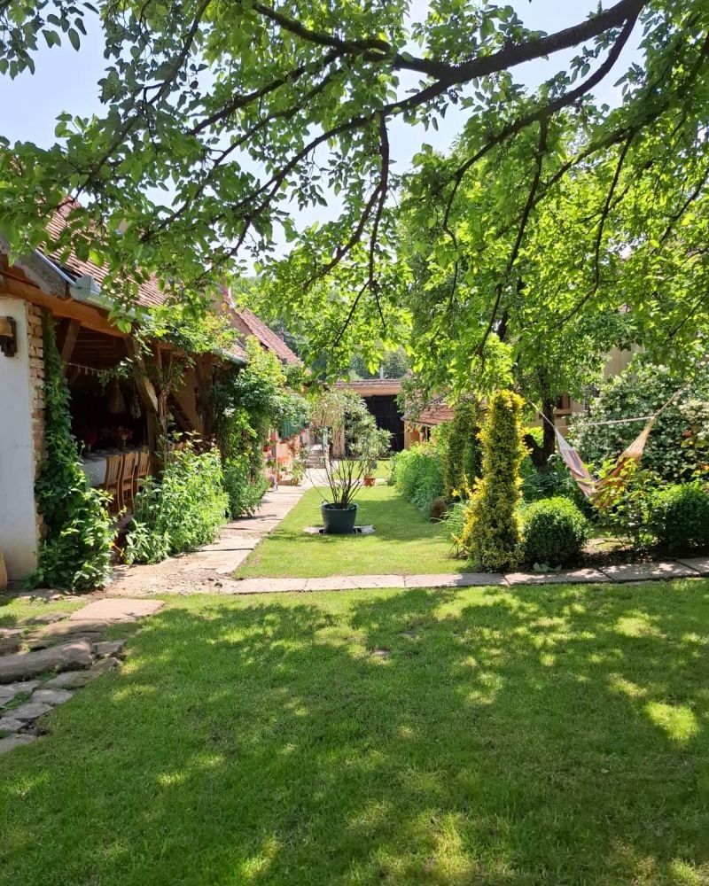 Cum a fost restaurată o casă săsească din Richiș folosind materiale naturale și voluntari internaționali 15 Grădina cu gazon, flori și abori