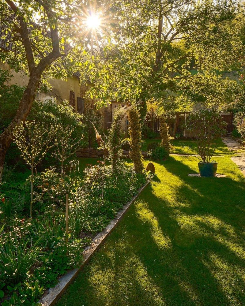 Cum a fost restaurată o casă săsească din Richiș folosind materiale naturale și voluntari internaționali 16 Permacultură în grădină