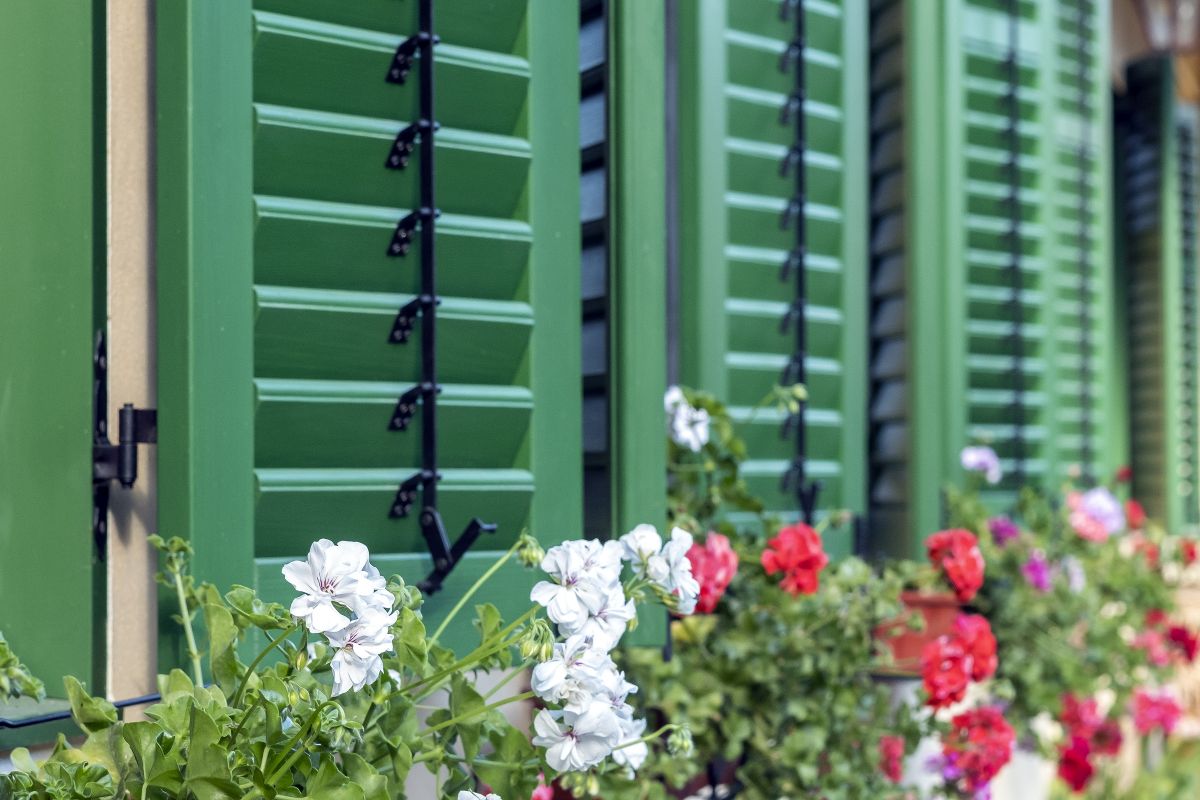 Cum a fost restaurată o casă săsească din Richiș folosind materiale naturale și voluntari internaționali 7 Obloane lemn verzi casă săsească Richiș