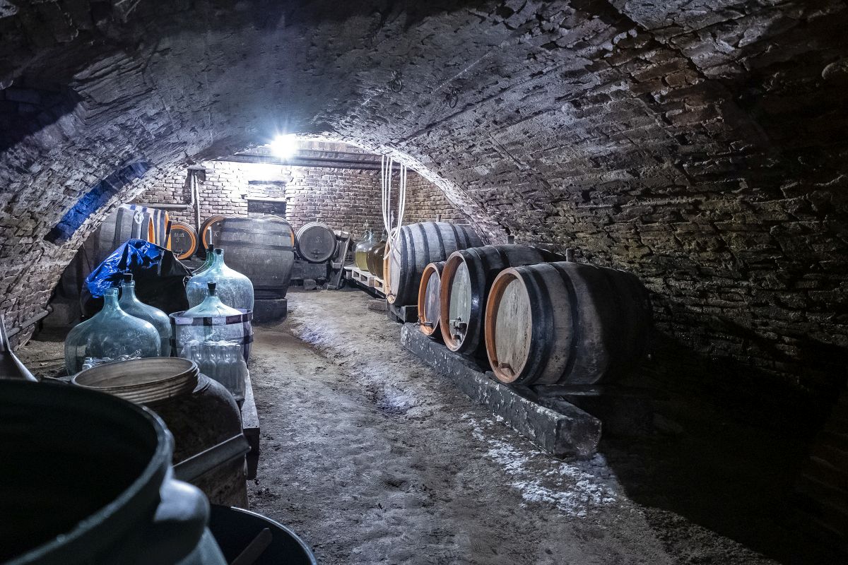 Cum a fost restaurată o casă săsească din Richiș folosind materiale naturale și voluntari internaționali 18 Pivnița din cărămidă pentru vinuri